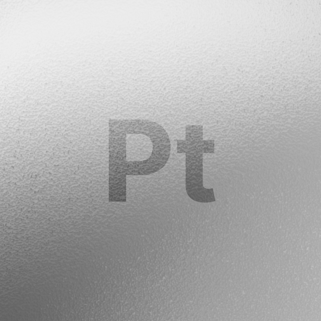 Platin Logo