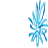 AMP Logo