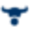 BAILADOR TECHNOL.INVESTM. Aktie Logo