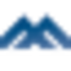 Metals X Logo