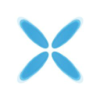 RareX Logo