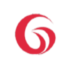 G-VISION International (HLDGS) Logo