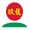 Nine Dragons Paper Logo