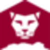 Lion Rock Group Limited Logo
