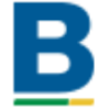 Boa Vista Servicos SA Ordinary Shares Logo