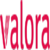 VALORA N Logo