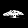 Wavestone Logo