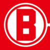 China Overseas Land Investment Logo