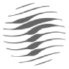 TADIRAN GROUP LTD Logo