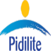 Pidilite Industries Ltd Logo