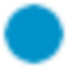 Borosil Renewables Ltd Ordinary Shares Logo