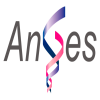 AnGes Logo