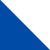 TOREX SEMICONDUCTOR LTD Aktie Logo