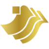 CHINA SUCCESS FIN GROUP HLDGS Ltd Logo