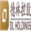 DL HOLDINGS GROUP LTD Logo
