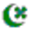 Greentown China Logo