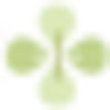 Medicskin Holdings Limited Logo
