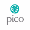 Pico Far East Logo