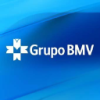 Bolsa Mexicana de Valores Logo