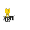 FABRYKI MEBLI FORTE ZY 1 Logo