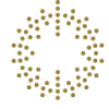 Auriant Mining Aktie Logo