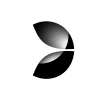 Evolution Gaming Logo