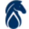 Blueknight Energy Partners L. P Logo