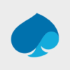 CAPGEMINI UNS.ADR 1/5/EO8 Logo