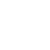 Cenntro Electric Group Aktie Logo