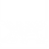 Trump Media Technology Group Logo