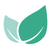 Evergreen Solar Logo