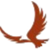 FALCON CAP.ACQ. A -,0001 Logo