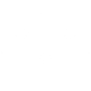 Faraday Future Intelligent Electric Aktie Logo