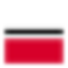 FINANCIAL INST.INC.DL-,01 Logo