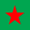 Heineken NV ADR Logo