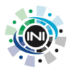 INDUSTRIAL NANOTECH DL-01 Logo