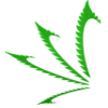 KAYA HLDGS INC. DL-,001 Aktie Logo