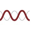 Molecular Templates Inc Logo