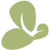 Orchid Island Capital Logo