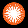 Public Service Ent Logo
