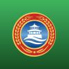 TSINGTAO BREWE. H ADR/5 Logo