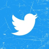 Twitter Logo