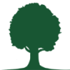 WOODL.FIN.SER. CO. DL5 Aktie Logo