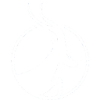 Antelope Enterprise Aktie Logo